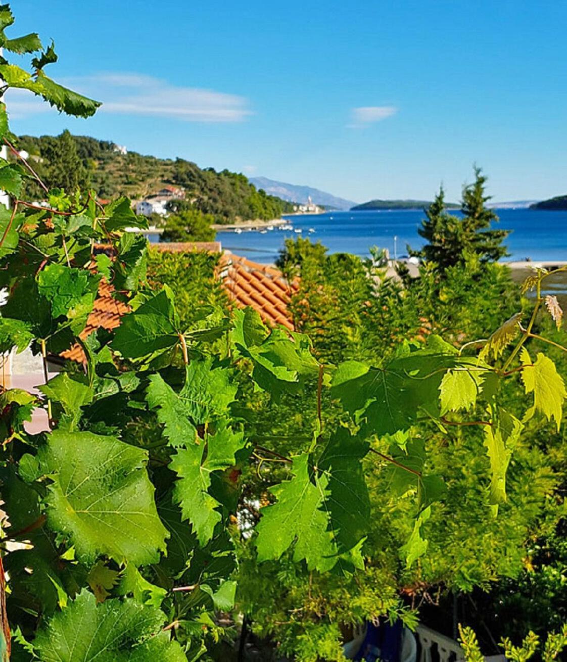Ivi - 50 M From Sea Apartament